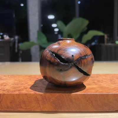 爛心黃連木聚寶盆 視角 1