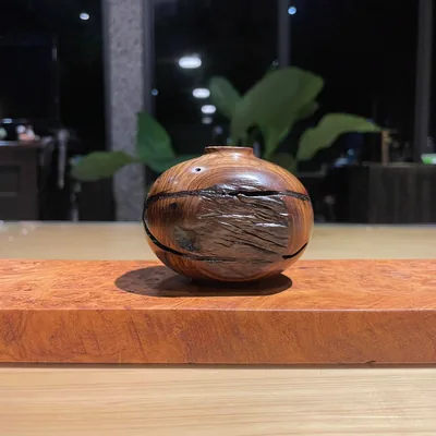 爛心黃連木聚寶盆 視角 2