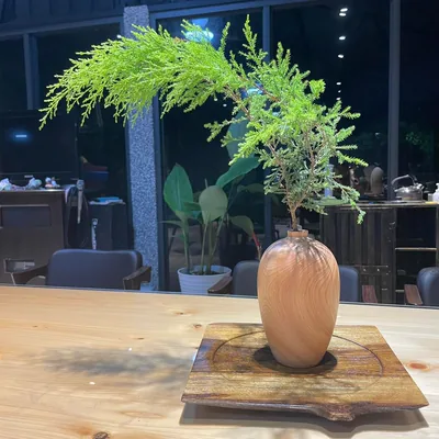 聚寶盆的種類與特點：哪種最適合你？ 視角 3