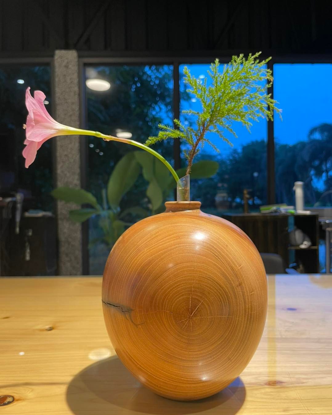 櫸木原木花瓶修煉