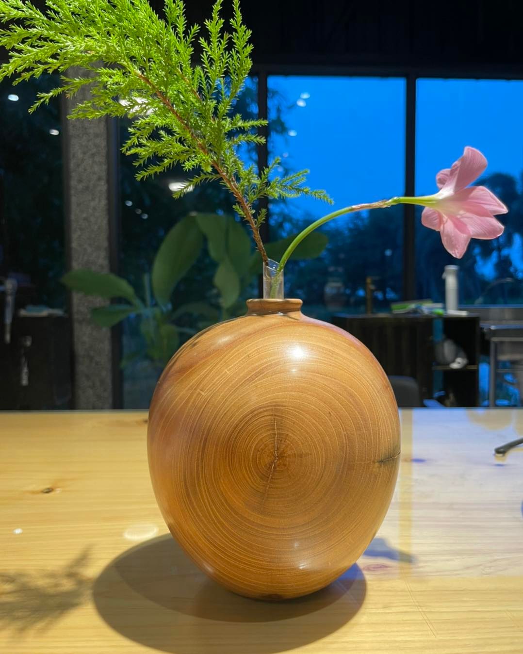 櫸木原木花瓶修煉 視角 2